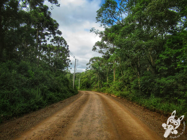 Área Rural | Arvorezinha - Rio Grande do Sul - Brasil | FredLee Na Estrada