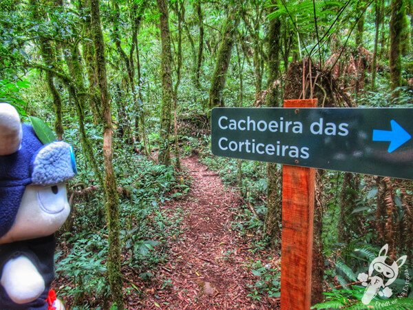 Cânion Perau do Facão | Arvorezinha - Rio Grande do Sul - Brasil | FredLee Na Estrada
