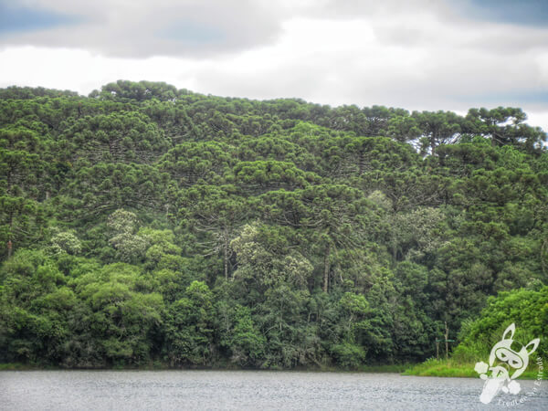 Lago Verde | Ilópolis - Rio Grande do Sul - Brasil | FredLee Na Estrada