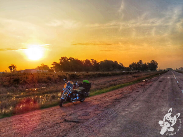 Pôr do sol na Ruta Lago Merín | Río Branco - Cerro Largo - Uruguai | FredLee Na Estrada
