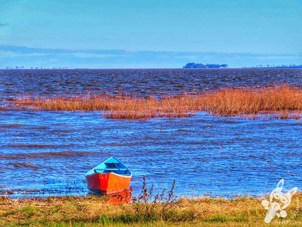 Lago Merín - Río Branco - Cerro Largo - Uruguai | FredLee Na Estrada
