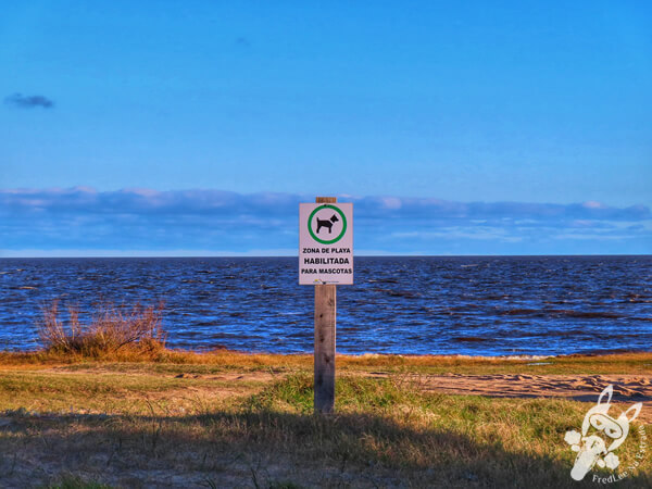 Lago Merín - Río Branco - Cerro Largo - Uruguai | FredLee Na Estrada