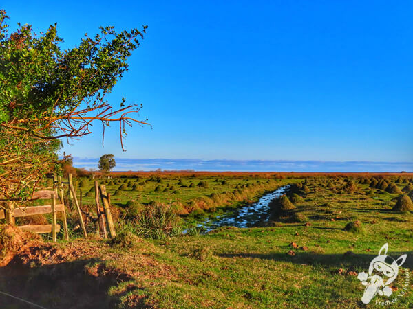 Bañado del Yacaré - Lago Merín - Río Branco - Cerro Largo - Uruguai | FredLee Na Estrada