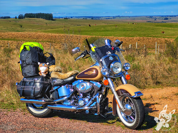 Formosa, uma Harley-Davidson Heritage Softail Classic, na Ruta 26 | Cerro Largo - Uruguai | FredLee Na Estrada