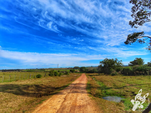 Estrada de terra que dá acesso a La Posta del Chuy | Cerro Largo - Uruguai | FredLee Na Estrada