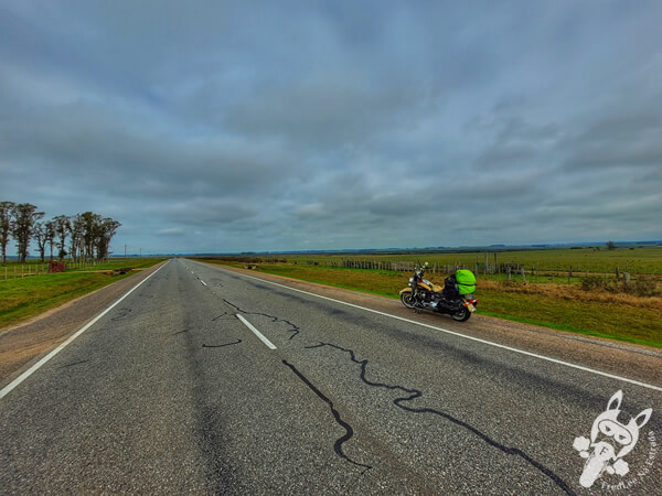 Formosa, uma Harley-Davidson Heritage Softail Classic na Ruta 8 | Treinta y Tres - Uruguai | FredLee Na Estrada