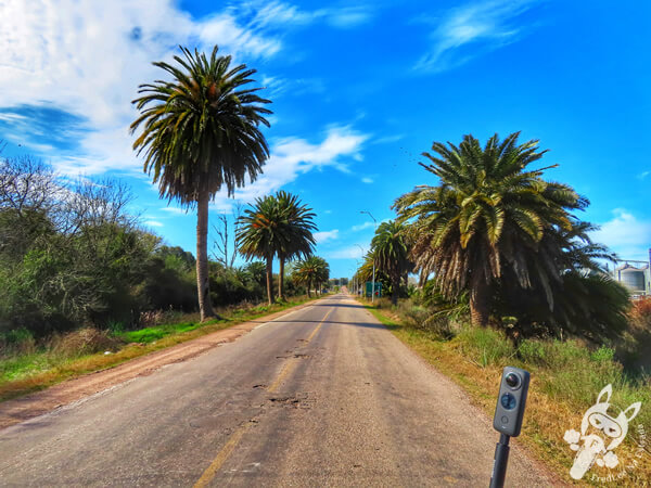 Ruta 14 | Lascano - Rocha - Uruguai | FredLee Na Estrada