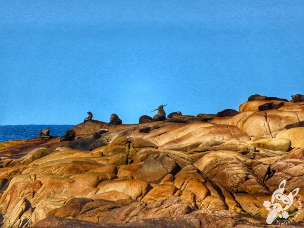 Parque Nacional Cabo Polonio - Rocha - Uruguai | FredLee Na Estrada