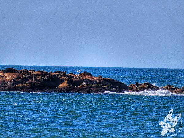 Parque Nacional Cabo Polonio - Rocha - Uruguai | FredLee Na Estrada