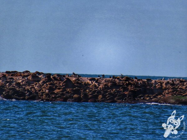 Parque Nacional Cabo Polonio - Rocha - Uruguai | FredLee Na Estrada