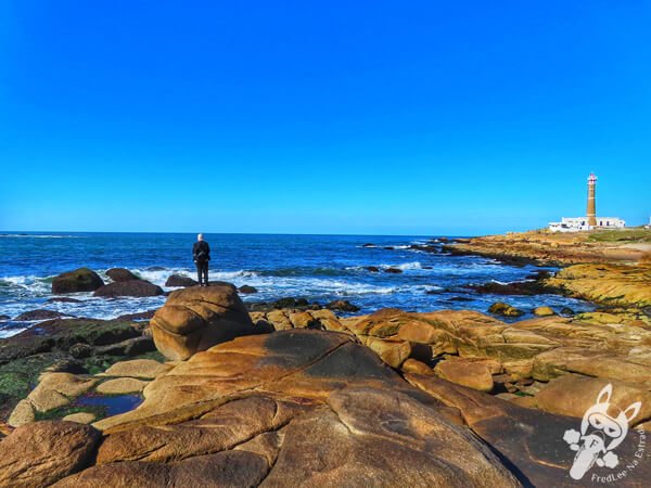 Farol de Cabo Polonio | Parque Nacional Cabo Polonio - Rocha - Uruguai | FredLee Na Estrada