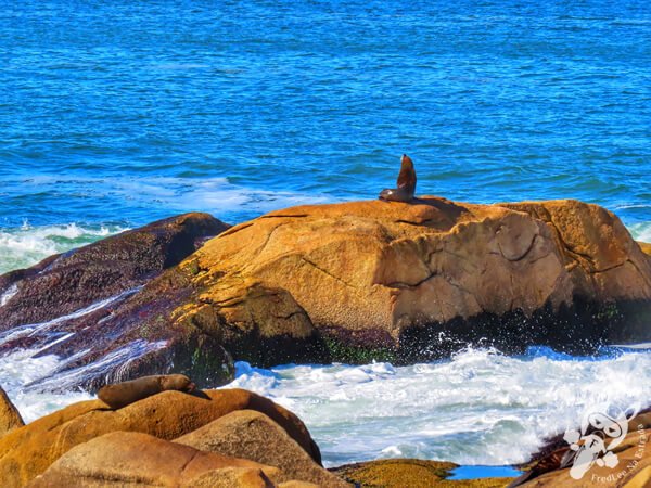 Parque Nacional Cabo Polonio - Rocha - Uruguai | FredLee Na Estrada