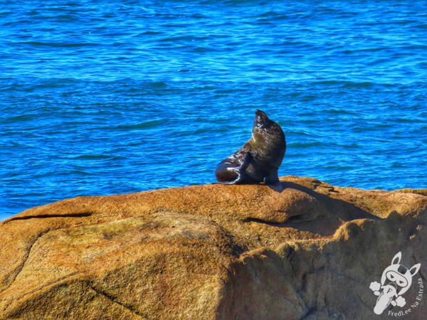 Parque Nacional Cabo Polonio - Rocha - Uruguai | FredLee Na Estrada