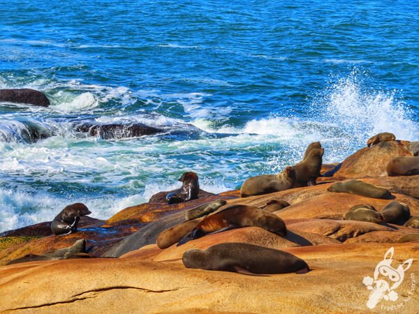 Parque Nacional Cabo Polonio - Rocha - Uruguai | FredLee Na Estrada