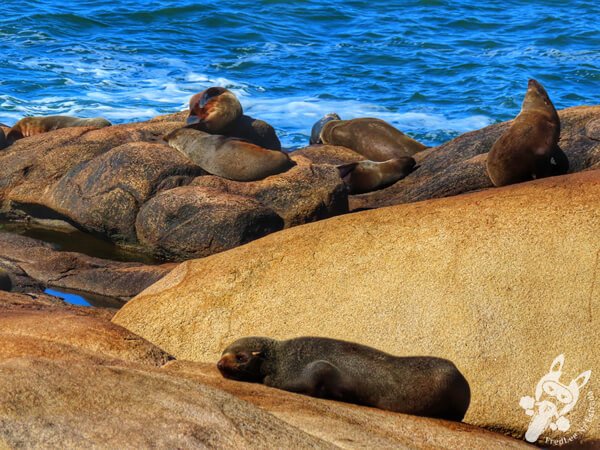 Parque Nacional Cabo Polonio - Rocha - Uruguai | FredLee Na Estrada