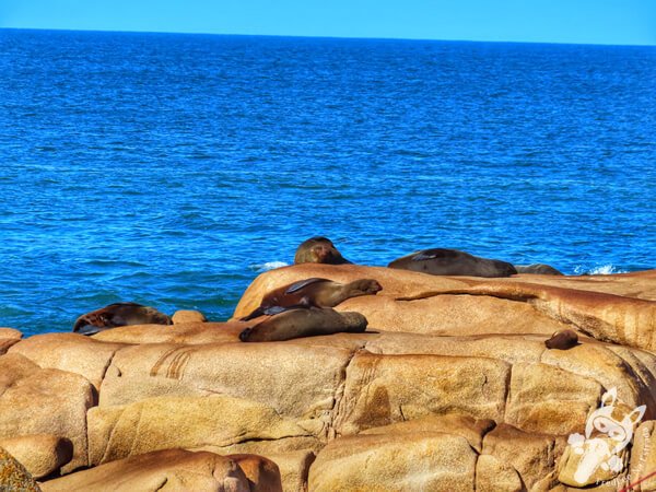 Parque Nacional Cabo Polonio - Rocha - Uruguai | FredLee Na Estrada