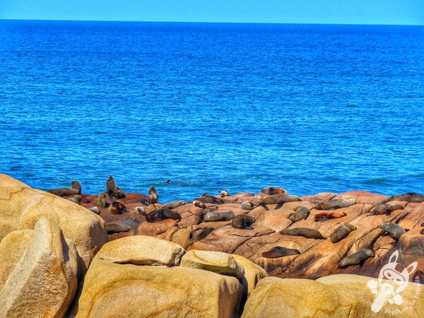 Parque Nacional Cabo Polonio - Rocha - Uruguai | FredLee Na Estrada