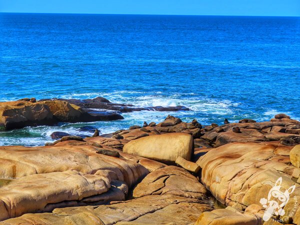 Parque Nacional Cabo Polonio - Rocha - Uruguai | FredLee Na Estrada