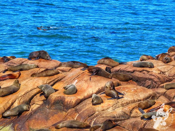 Parque Nacional Cabo Polonio - Rocha - Uruguai | FredLee Na Estrada