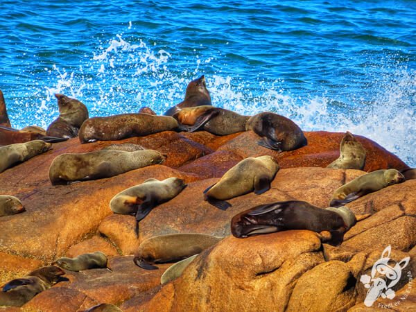 Parque Nacional Cabo Polonio - Rocha - Uruguai | FredLee Na Estrada