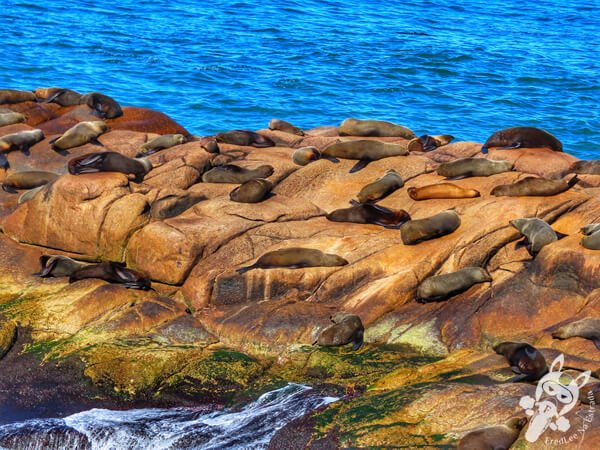 Parque Nacional Cabo Polonio - Rocha - Uruguai | FredLee Na Estrada