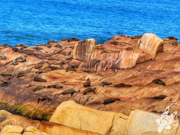 Parque Nacional Cabo Polonio - Rocha - Uruguai | FredLee Na Estrada