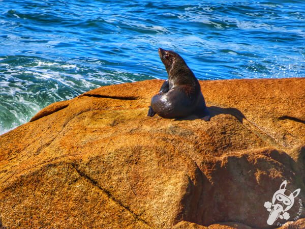 Parque Nacional Cabo Polonio - Rocha - Uruguai | FredLee Na Estrada