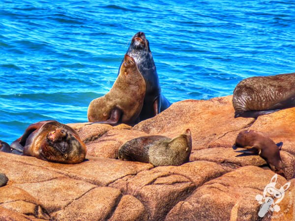 Parque Nacional Cabo Polonio - Rocha - Uruguai | FredLee Na Estrada