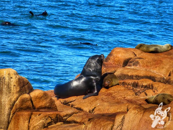 Parque Nacional Cabo Polonio - Rocha - Uruguai | FredLee Na Estrada