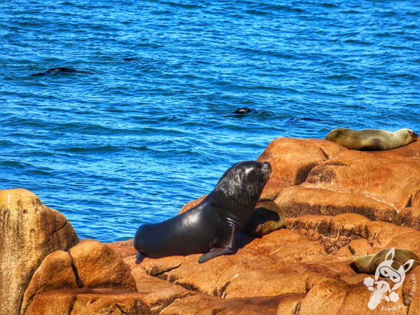 Parque Nacional Cabo Polonio - Rocha - Uruguai | FredLee Na Estrada