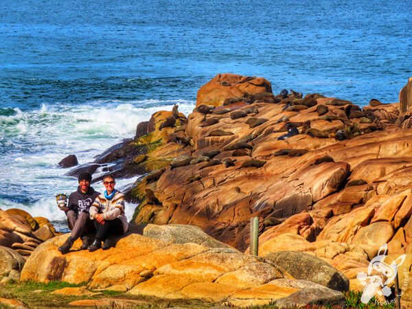 Parque Nacional Cabo Polonio - Rocha - Uruguai | FredLee Na Estrada