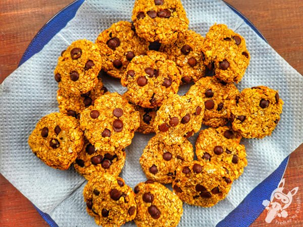 Cookies artesanais com gotas de chocolate | La Paloma - Rocha - Uruguai | FredLee Na Estrada