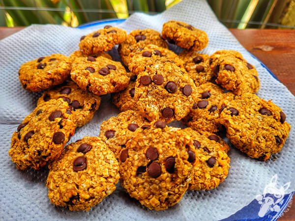 Cookies artesanais com gotas de chocolate | La Paloma - Rocha - Uruguai | FredLee Na Estrada