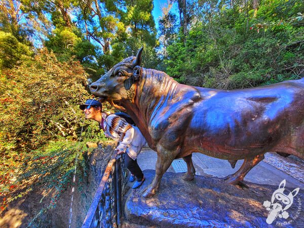 La Fuente del Toro - Parque Cerro del Toro | Piriápolis - Maldonado - Uruguai | FredLee Na Estrada