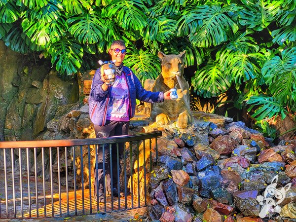 Reserva Natural Parque Salus y Fuente del Puma | Minas - Lavalleja - Uruguai | FredLee Na Estrada Reserva Natural Parque Salus y Fuente del Puma | Minas - Lavalleja - Uruguai | FredLee Na Estrada