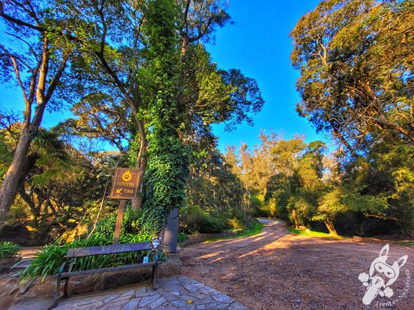 Reserva Natural Parque Salus y Fuente del Puma | Minas - Lavalleja - Uruguai | FredLee Na Estrada Reserva Natural Parque Salus y Fuente del Puma | Minas - Lavalleja - Uruguai | FredLee Na Estrada