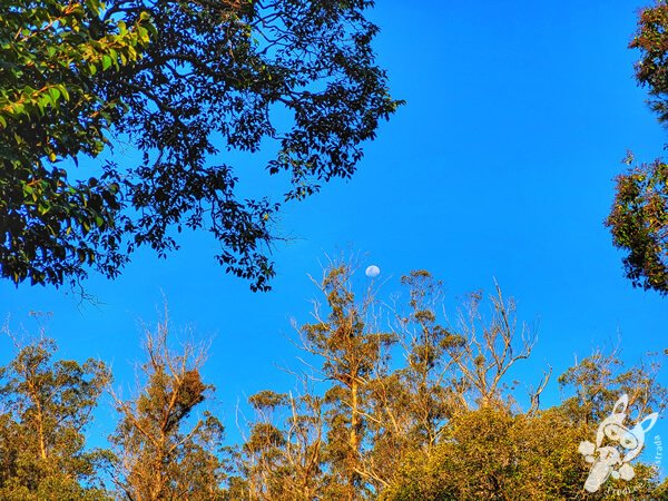 Reserva Natural Parque Salus y Fuente del Puma | Minas - Lavalleja - Uruguai | FredLee Na Estrada Reserva Natural Parque Salus y Fuente del Puma | Minas - Lavalleja - Uruguai | FredLee Na Estrada