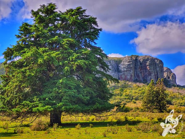 Parque Nacional Cerro Arequita | Minas - Lavalleja - Uruguai | FredLee Na Estrada