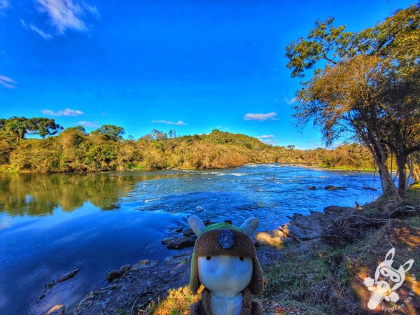 Rio Iguaçu - Parque Ecológico Biquinha | Porto Amazonas - Paraná - Brasil | FredLee Na Estrada