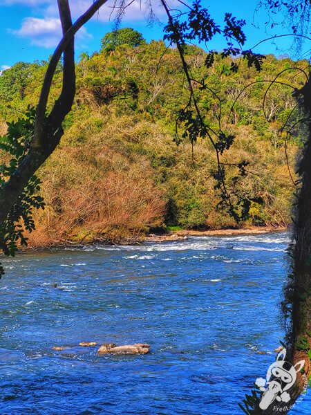 Rio Iguaçu - Parque Ecológico Biquinha | Porto Amazonas - Paraná - Brasil | FredLee Na Estrada