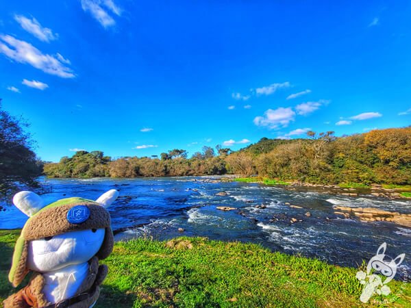 Rio Iguaçu - Parque Ecológico Biquinha | Porto Amazonas - Paraná - Brasil | FredLee Na Estrada