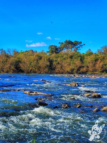 Rio Iguaçu - Parque Ecológico Biquinha | Porto Amazonas - Paraná - Brasil | FredLee Na Estrada