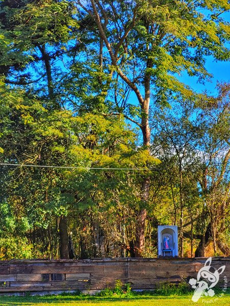 Fragmentos do Vapor Tibagi - Parque Ecológico Biquinha | Porto Amazonas - Paraná - Brasil | FredLee Na Estrada