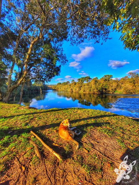 Parque Ecológico da Biquinha | Porto Amazonas - Paraná - Brasil | FredLee Na Estrada