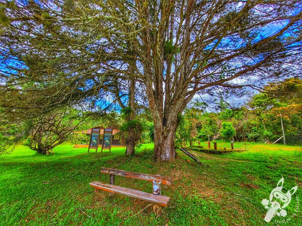 Parque Estadual do Rio Turvo (PERT) Núcleo Cedro | Barra do Turvo - São Paulo - Brasil | FredLee Na Estrada Parque Estadual do Rio Turvo (PERT) Núcleo Cedro | Barra do Turvo - São Paulo - Brasil | FredLee Na Estrada