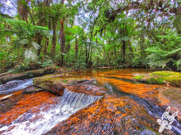 Trilha do Ariete - Parque Estadual do Rio Turvo (PERT) Núcleo Cedro | Barra do Turvo - São Paulo - Brasil | FredLee Na Estrada Trilha do Ariete - Parque Estadual do Rio Turvo (PERT) Núcleo Cedro | Barra do Turvo - São Paulo - Brasil | FredLee Na Estrada