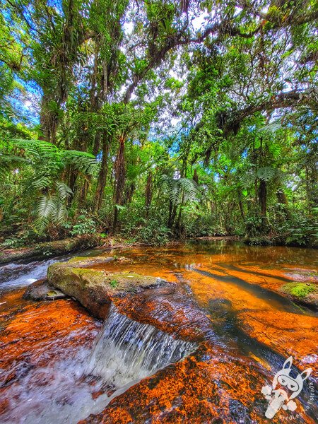 Trilha do Ariete - Parque Estadual do Rio Turvo (PERT) Núcleo Cedro | Barra do Turvo - São Paulo - Brasil | FredLee Na Estrada Trilha do Ariete - Parque Estadual do Rio Turvo (PERT) Núcleo Cedro | Barra do Turvo - São Paulo - Brasil | FredLee Na Estrada
