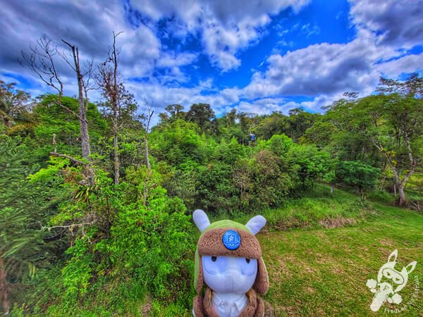 Torre de Observação de Aves - Parque Estadual do Rio Turvo (PERT) Núcleo Cedro | Barra do Turvo - São Paulo - Brasil | FredLee Na Estrada Torre de Observação de Aves - Parque Estadual do Rio Turvo (PERT) Núcleo Cedro | Barra do Turvo - São Paulo - Brasil | FredLee Na Estrada