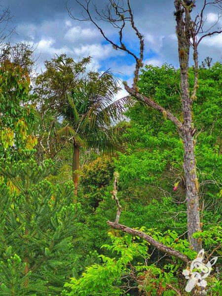 Parque Estadual do Rio Turvo (PERT) Núcleo Cedro | Barra do Turvo - São Paulo - Brasil | FredLee Na Estrada Parque Estadual do Rio Turvo (PERT) Núcleo Cedro | Barra do Turvo - São Paulo - Brasil | FredLee Na Estrada