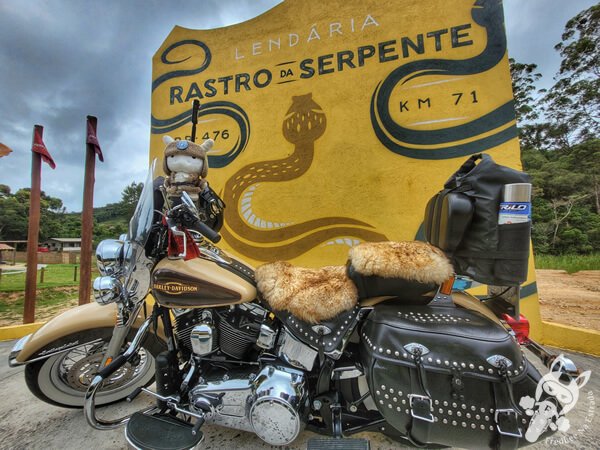 Serpenteando Café - Rastro da Serpente | Bocaiúva do Sul - Paraná - Brasil | FredLee Na Estrada Serpenteando Café - Rastro da Serpente | Bocaiúva do Sul - Paraná - Brasil | FredLee Na Estrada